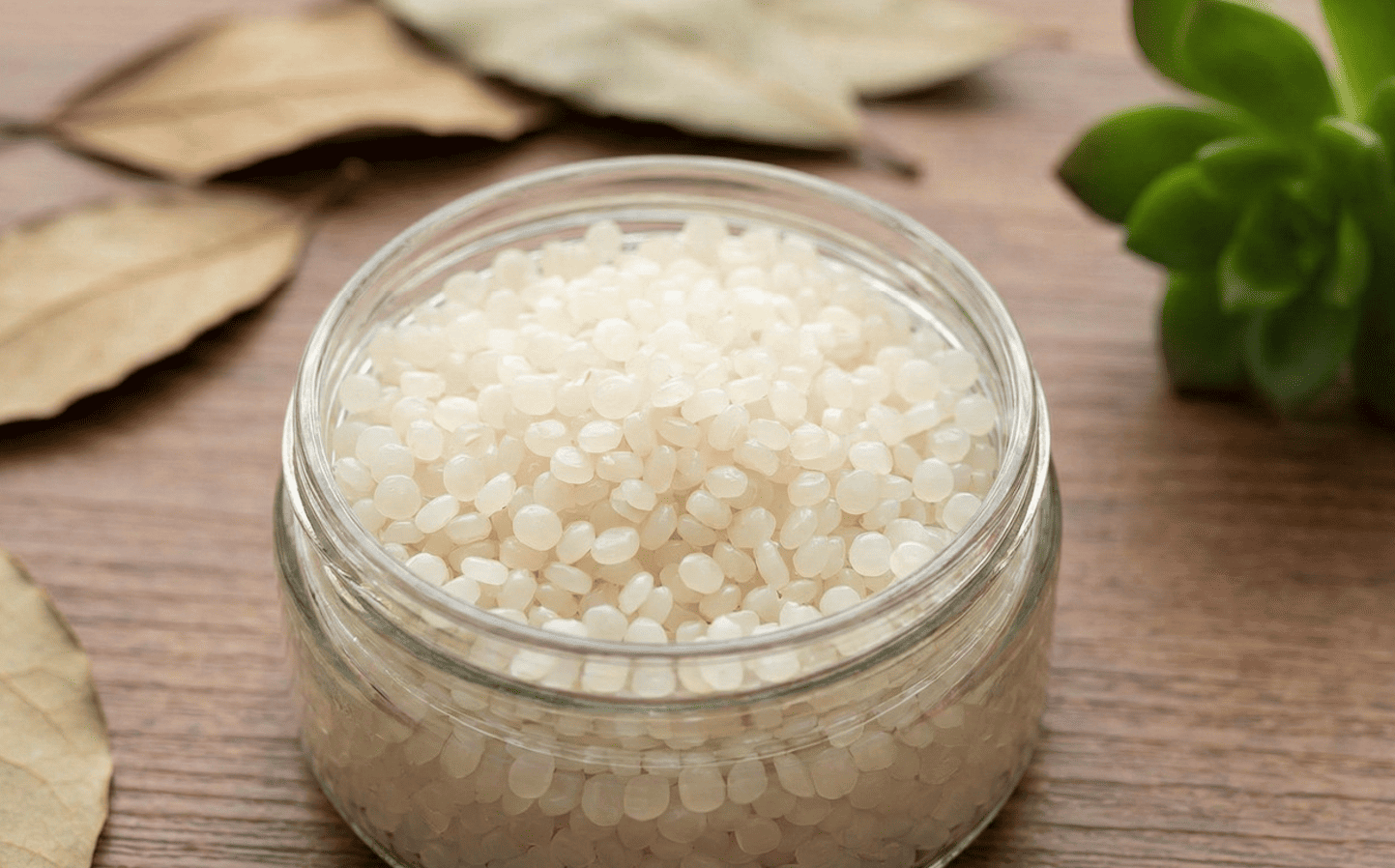 Plant-based plastic resins