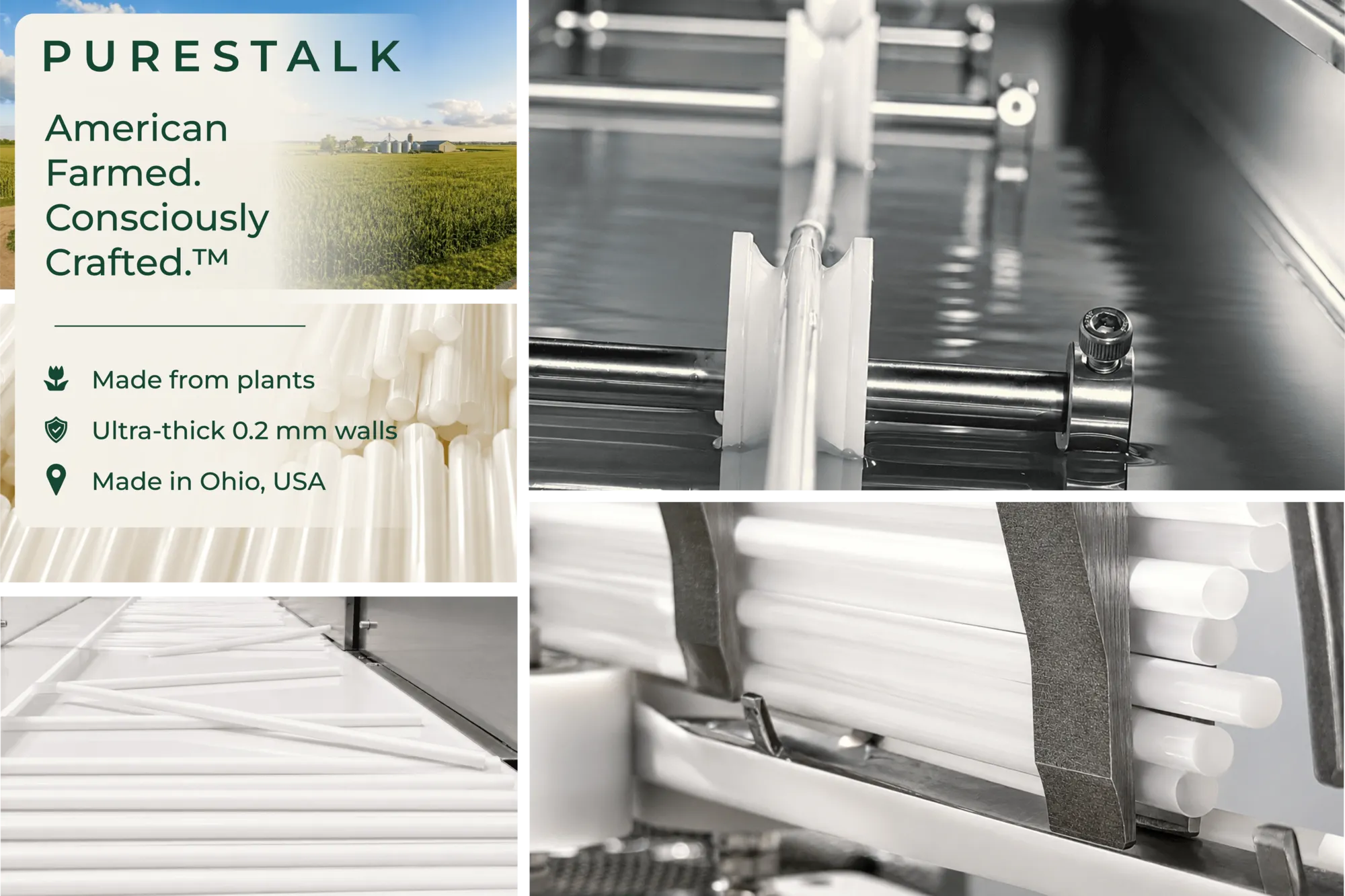 PureStalk 6mm Standard Drinking Straws - Plant-Based PLA - 0.24x8.3" (6x210mm) - Production Photos